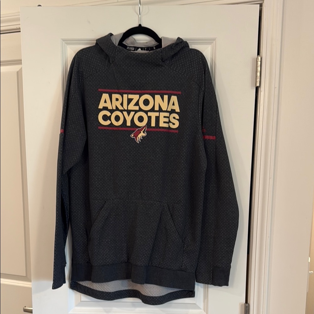 Adidas Gray Sweater with Athletic Appeal
